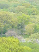  10-Another view.JPG 